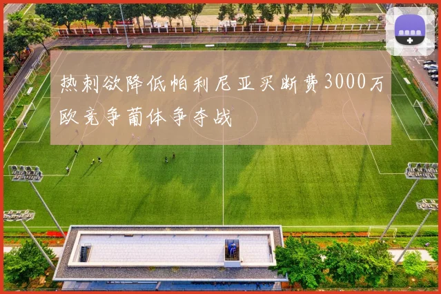 热刺欲降低帕利尼亚买断费3000万欧竞争葡体争夺战