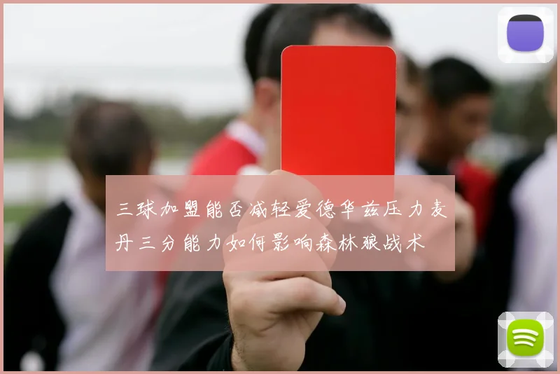 三球加盟能否减轻爱德华兹压力麦丹三分能力如何影响森林狼战术